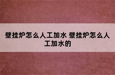 壁挂炉怎么人工加水 壁挂炉怎么人工加水的